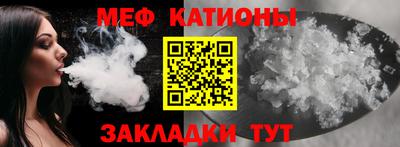 индика Камышлов