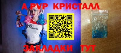 индика Камышлов