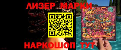 индика Камышлов