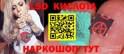 твердый Кандалакша