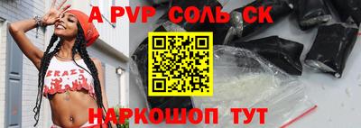 индика Камышлов