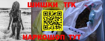 индика Камышлов