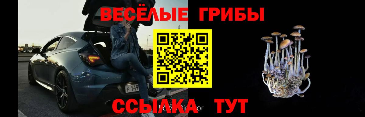 Псилоцибиновые грибы мицелий  Галлюциногенные грибы Psilocybe  Людиново  Вход с VPN 
